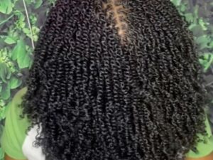 Mini Afro Twists