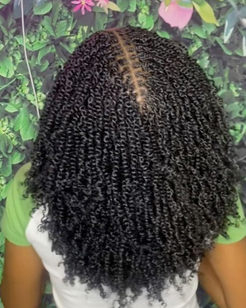 mini-afro-twist-afro-chic-braids